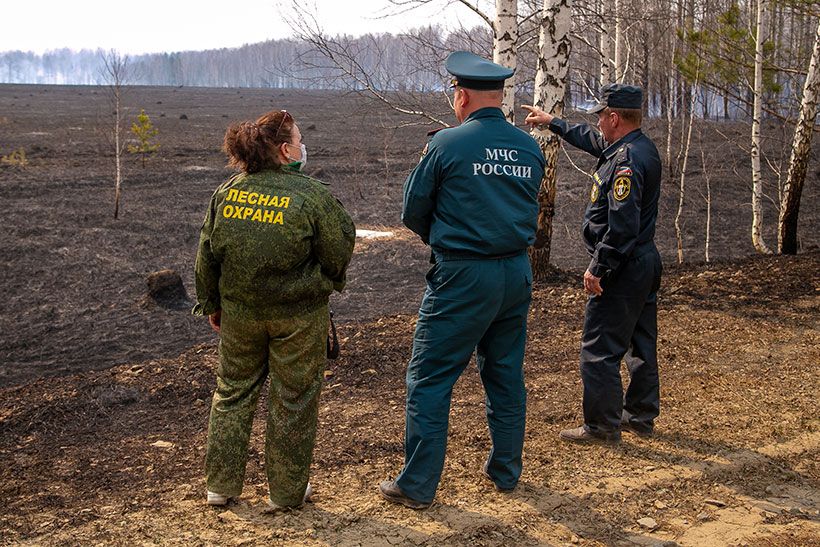 Лесные пожары Новосибирской области