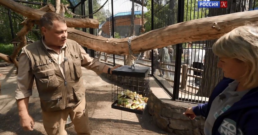 Иван Затевахин в Новосибирском зоопарке
