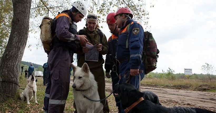 спасатели МЧС с собаками в лесу