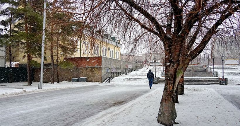 зимнее дерево
