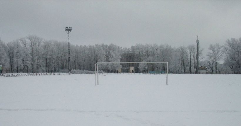 поле