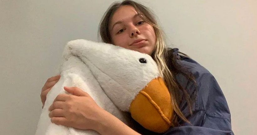 гусь-обнимусь