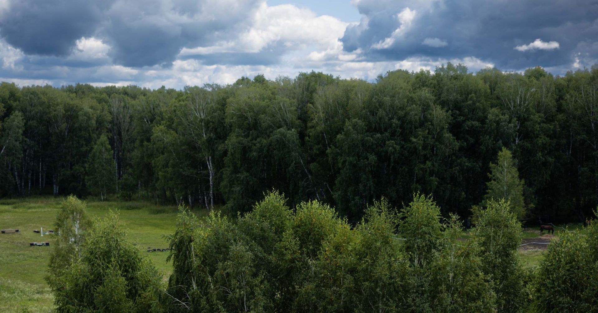 лес