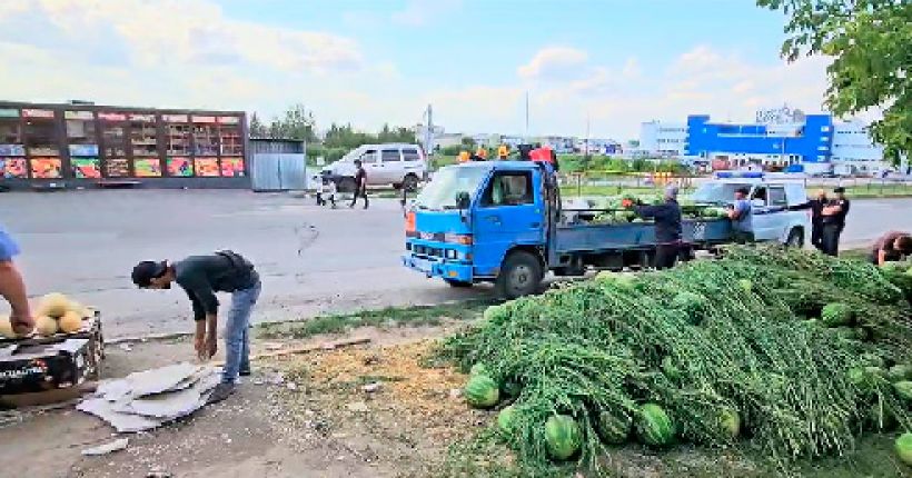 торговля арбузами