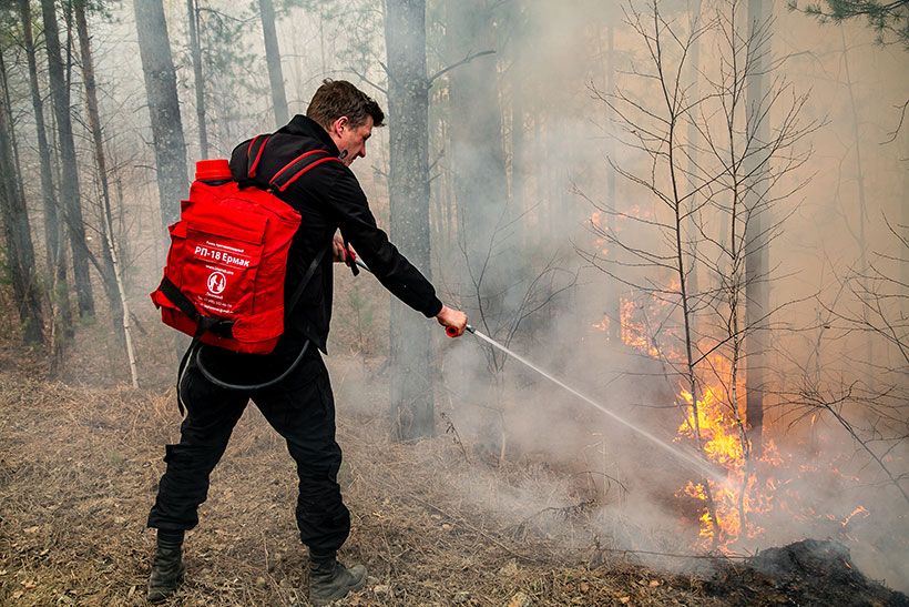 Лесные пожары Новосибирской области