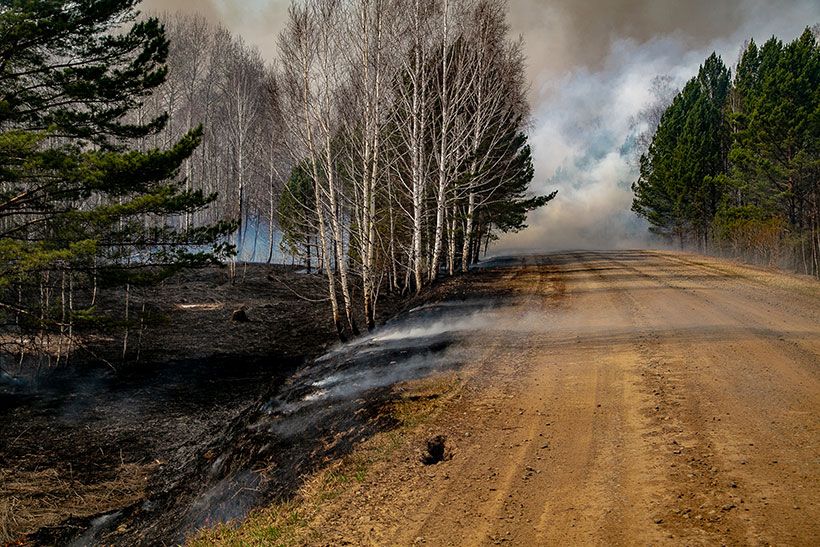 Лесные пожары Новосибирской области