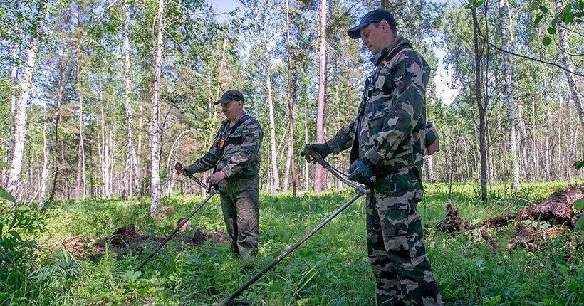 Кто охраняет лес лесовод или лесник