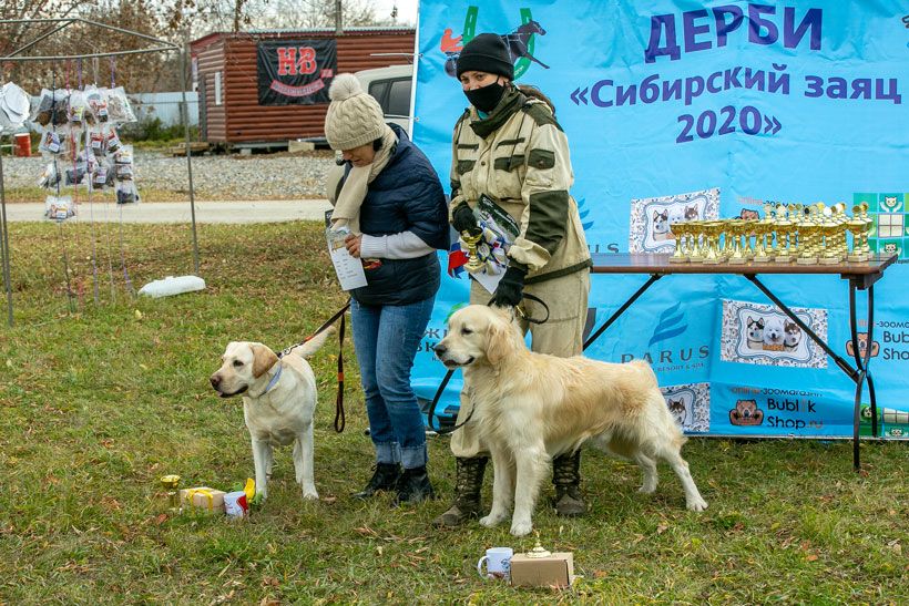Dog_dosil_4