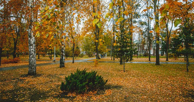 осенний парк