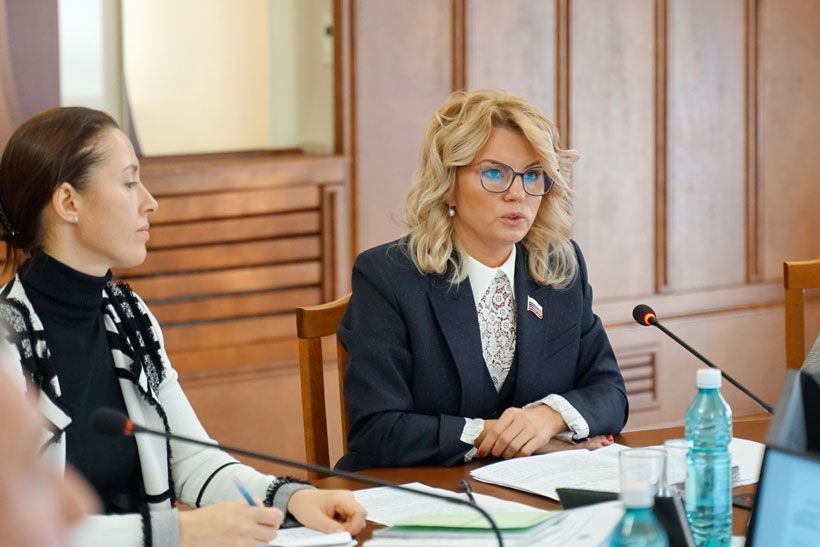 Ирина Диденко на комиссии бюджетного комитета
