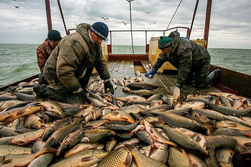Сузунские рыбаки сортируют улов на борту корабля