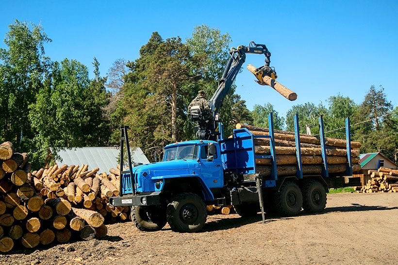 погрузка древесины в кузов грузовика