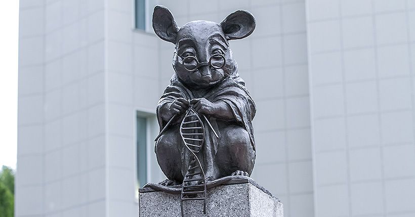 узнают, чем занята мышь на памятнике