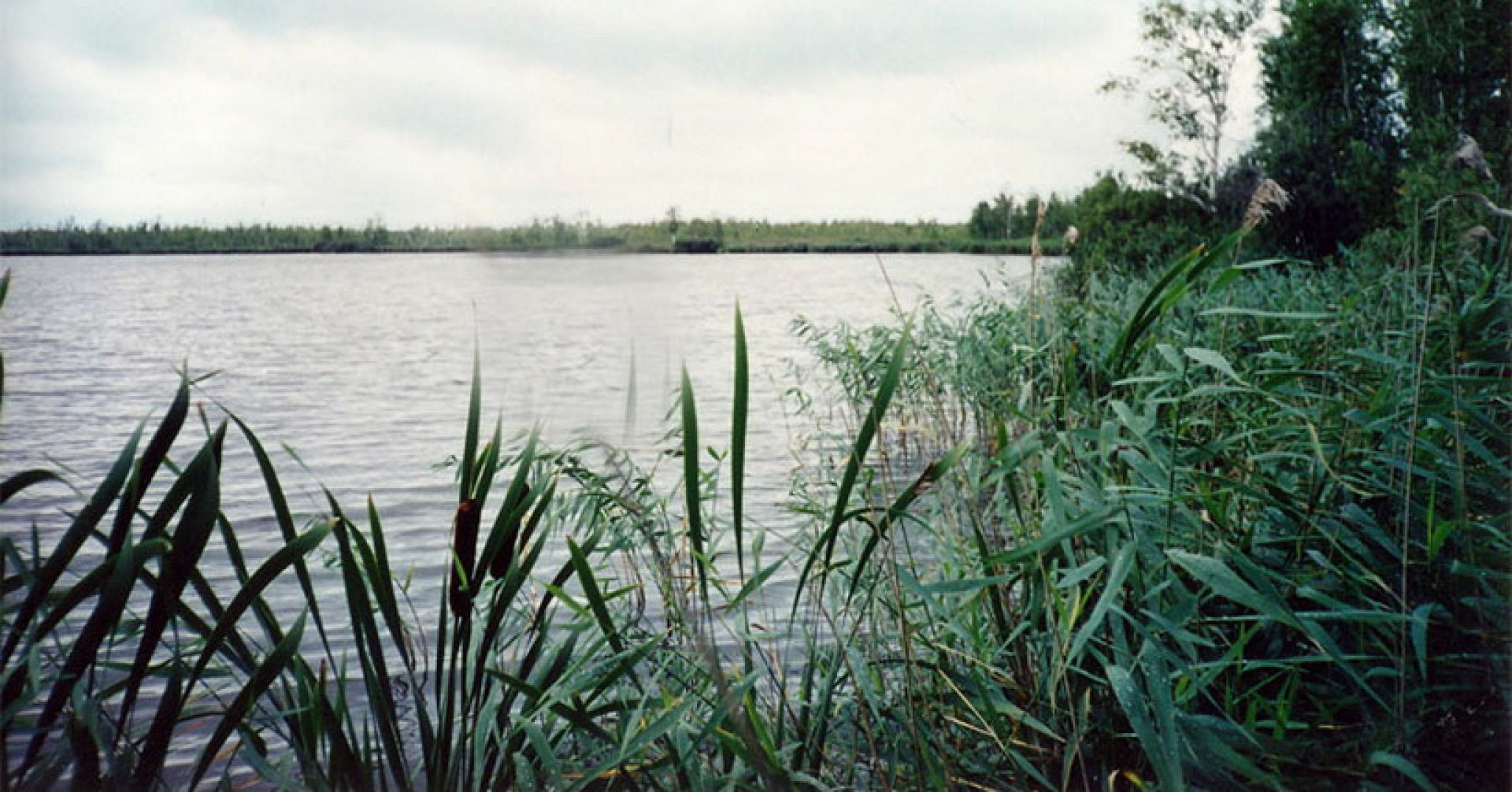 берег озера