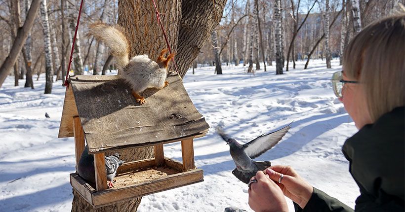 белочка
