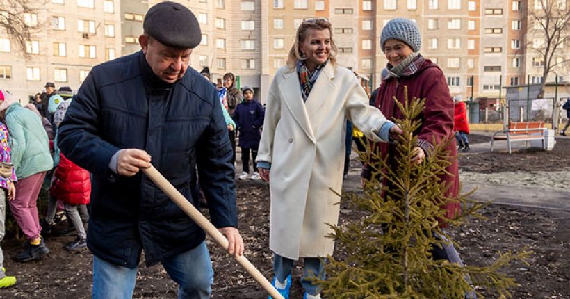 посадка деревьев