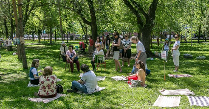 библиотека на траве