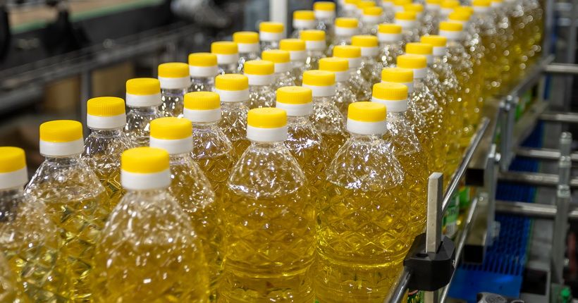 производство растительного масла