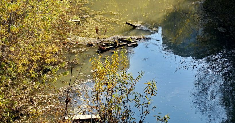 речка Тула