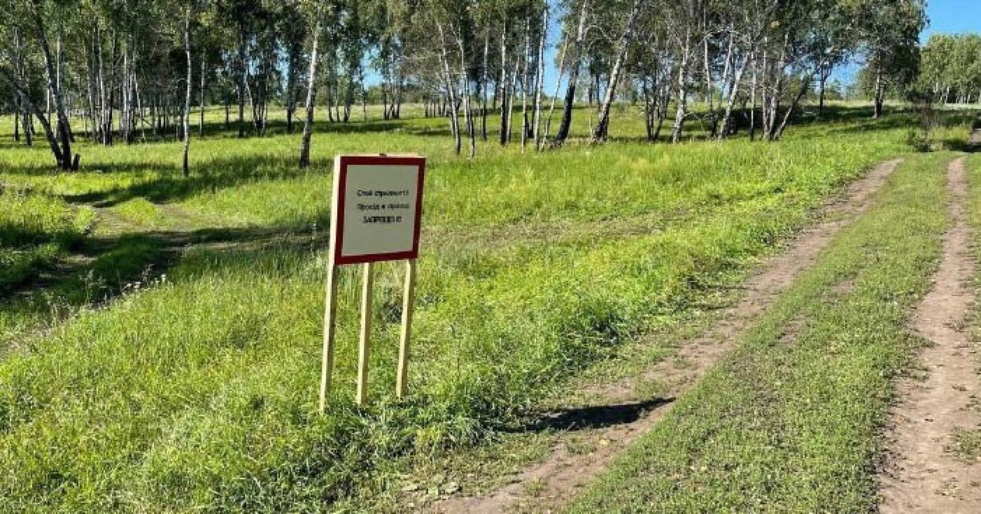 лес