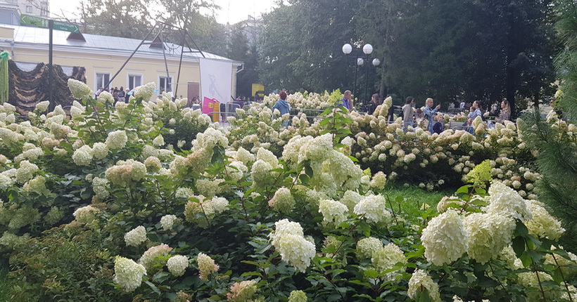 О работах по благоустройству в новосибирских парках рассказали в мэрии города
