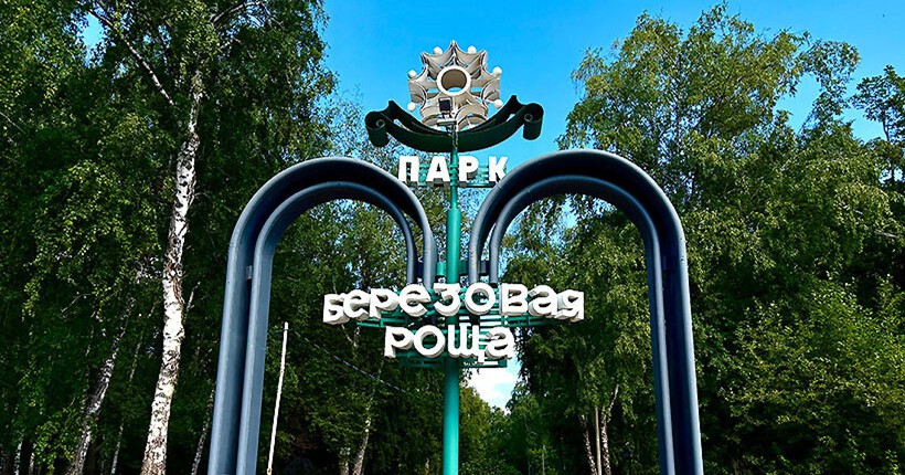 Арт-дача с музыкальной гостиной появится в Берёзовой роще в Новосибирске