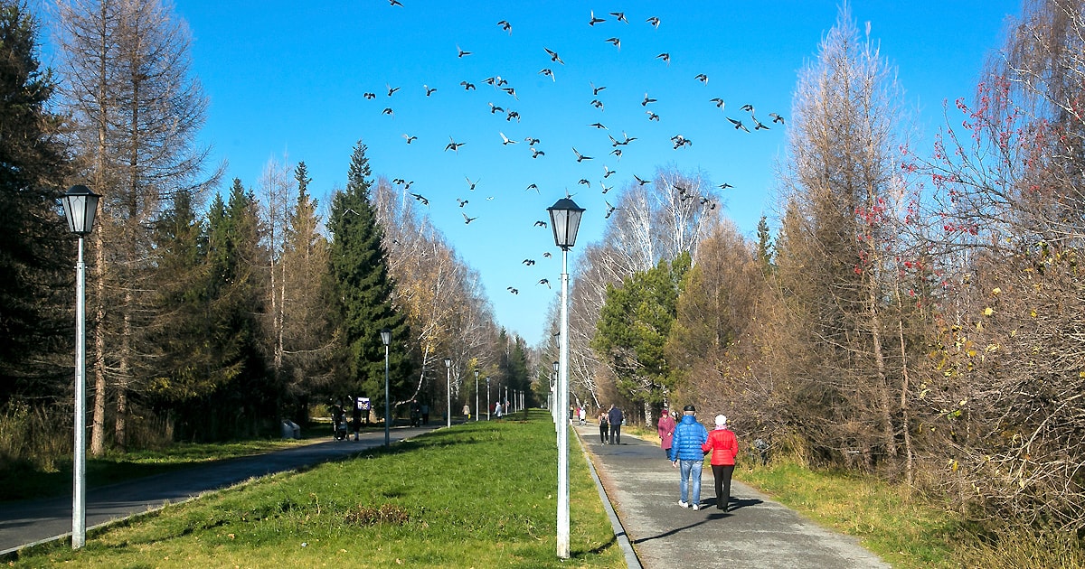 Дендропарк краснообск фото