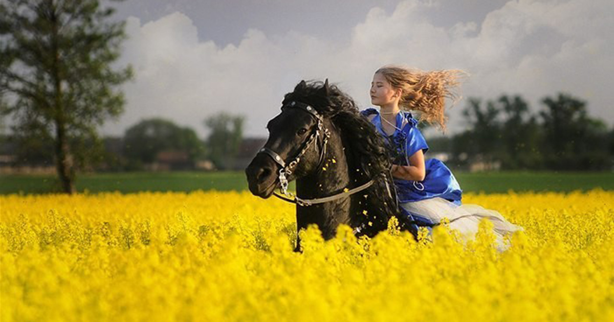 Фото с лошадью в поле