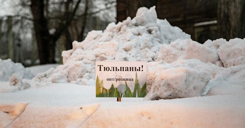 У снега в плену