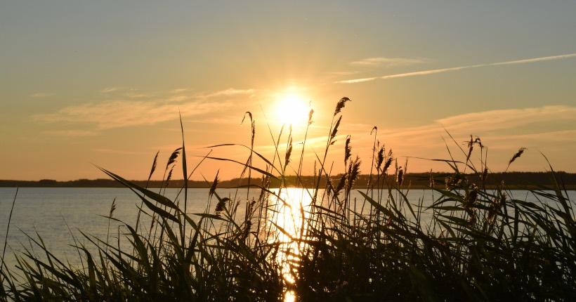 ЕДЕМ В НСО: Краснозёрский район ЕДЕМ В НСО: Краснозёрский район