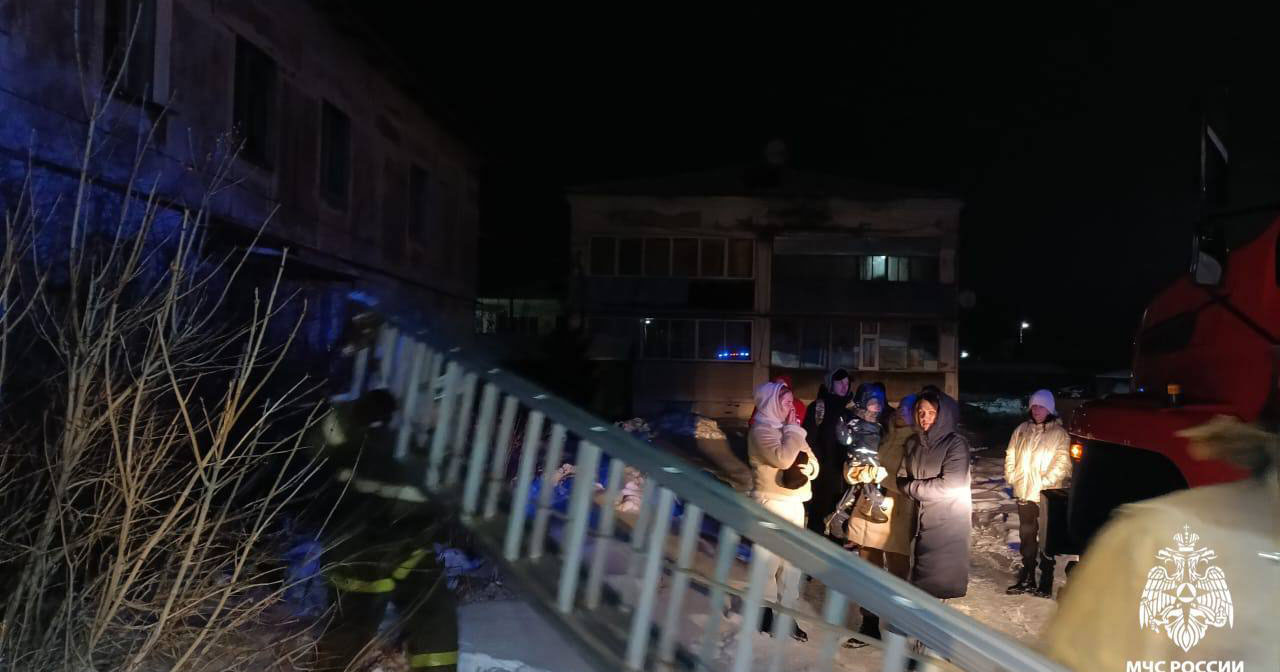 Пожарные спасли людей и домашних животных в Новосибирском районе