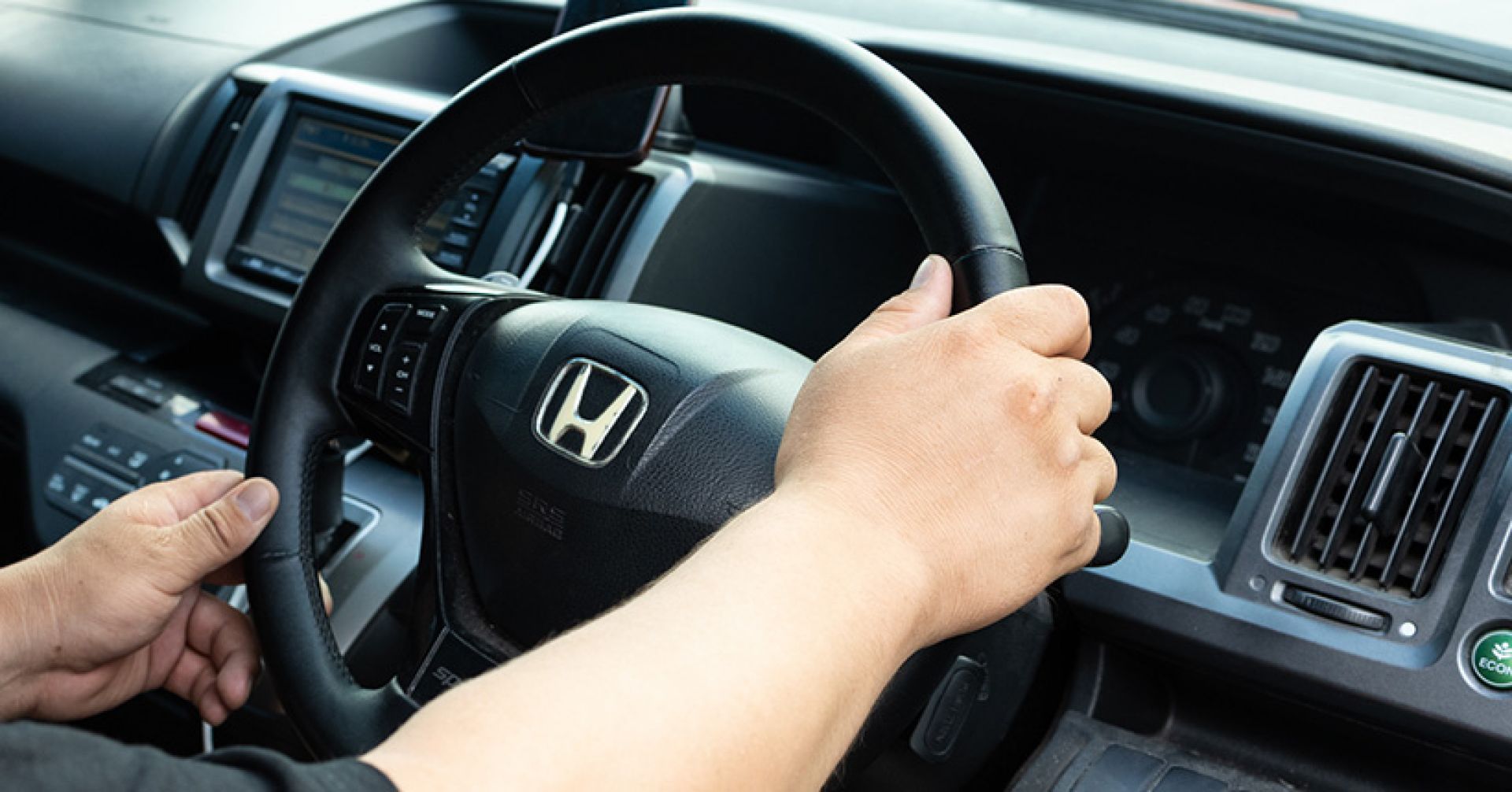 Водителей Новосибирской области просят соблюдать скоростной режим: началась миграция косуль и лосей