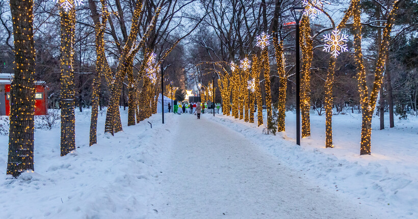 В новосибирских парках запретили прокат электроснегокатов