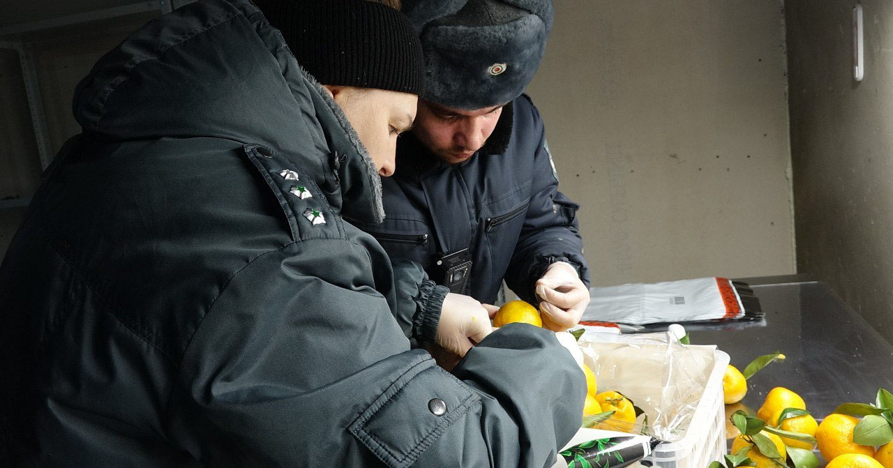 Новый год-2026: В Новосибирской области растут поставки мандаринов