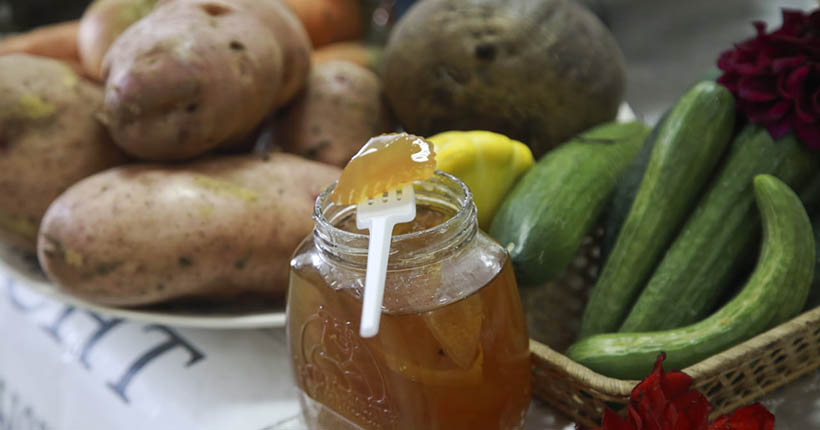 Новосибирцев приглашают на универсальную ярмарку