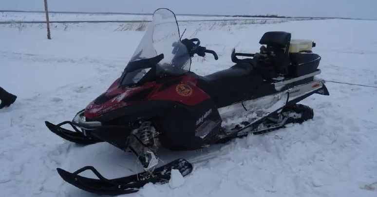 Трое на одного: жители Новосибирской области осуждены за незаконную охоту на кабана