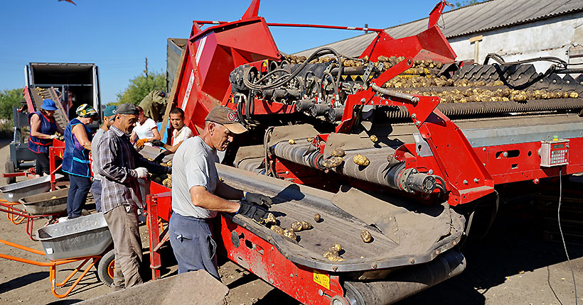 Утолить «голод»