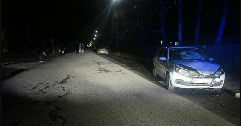 Под Новосибирском женщина получила 9 лет колонии за сбитую насмерть семью