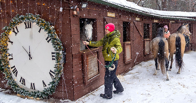 Только мы с конём