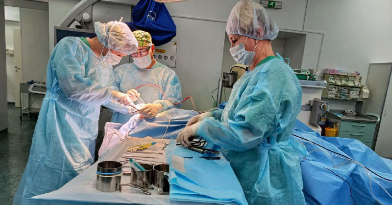 В Новосибирске нейрохирурги прооперировали беременную с разрывом аневризмы