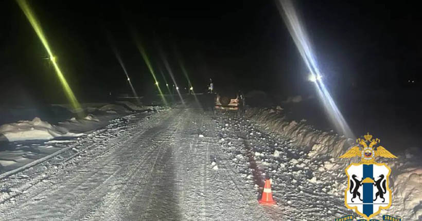 В Новосибирской области пьяный водитель насмерть сбил ребёнка