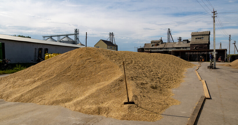 2240 тонн зерна отправила за границу Новосибирская область на новогодних выходных