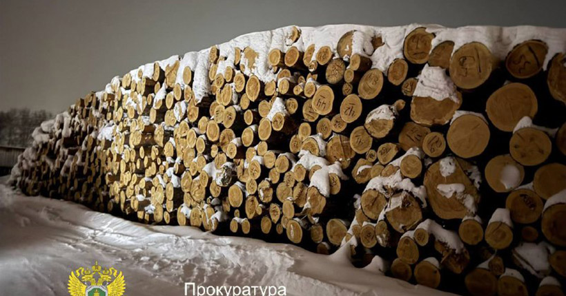 В Колыванском районе Новосибирской области незаконно срубили лес