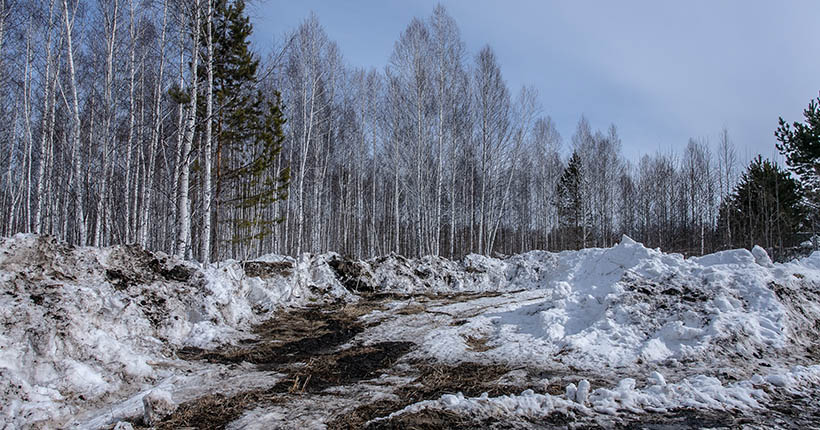 В Новосибирской области из-за обильных осадков возможны сложности с прохождением паводка