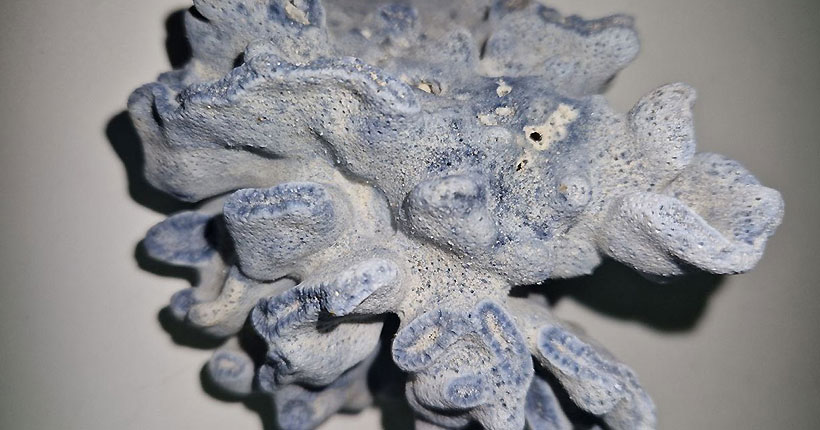 Таможня не даёт добро