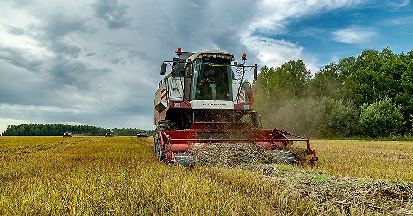 Первые в СФО