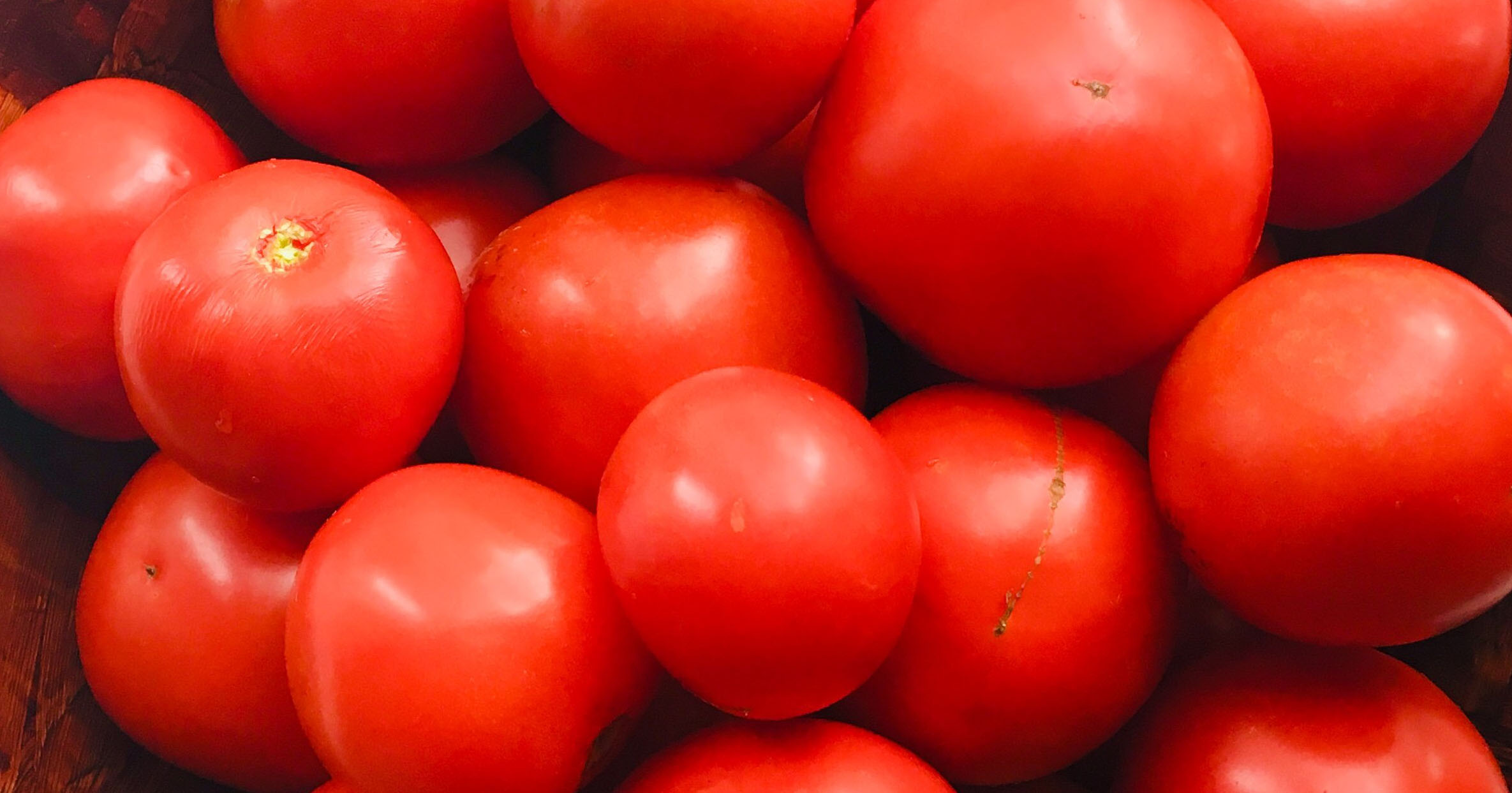 Больше 18 тонн заражённых томатов отправлены из Новосибирска назад в Среднюю Азию