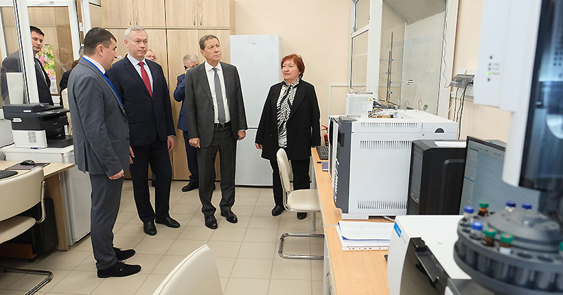 По всем направлениям