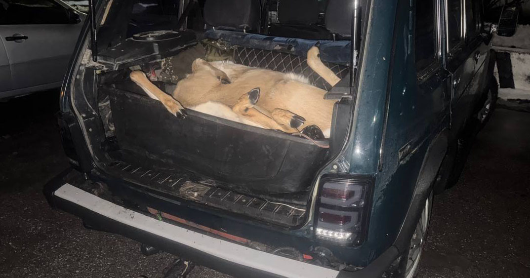 В Новосибирской области троих браконьеров осудили за незаконную охоту