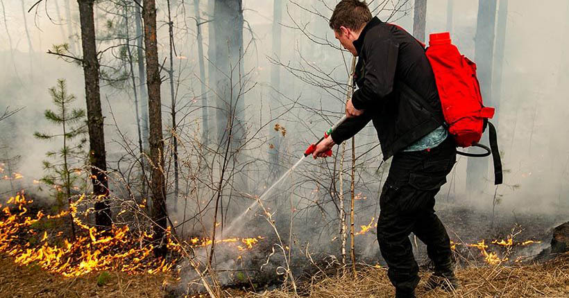 Новосибирская область в лидерах по оперативности тушения лесных пожаров